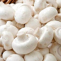 Vegetable Seeds,Garden seeds, Seeds For Planting,Plant Seeds