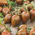 Vegetable Seeds,Garden seeds, Seeds For Planting,Plant Seeds