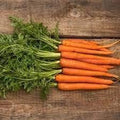 Vegetable Seeds,Garden seeds, Seeds For Planting,Plant Seeds