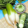 Vegetable Seeds,Garden seeds, Seeds For Planting,Plant Seeds