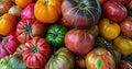 Vegetable Seeds,Garden seeds, Seeds For Planting,Plant Seeds