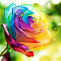 Flower Seeds, Seeds,Seeds For Planting,Plant Seeds