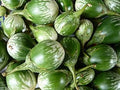 Vegetable Seeds,Garden seeds, Seeds For Planting,Plant Seeds