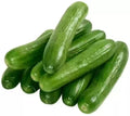Vegetable Seeds,Garden seeds, Seeds For Planting,Plant Seeds