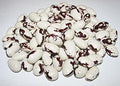 Vegetable Seeds,Garden seeds, Seeds For Planting,Plant Seeds