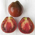 Vegetable Seeds,Garden seeds, Seeds For Planting,Plant Seeds