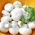 Vegetable Seeds,Garden seeds, Seeds For Planting,Plant Seeds