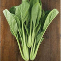 Vegetable Seeds,Garden seeds, Seeds For Planting,Plant Seeds