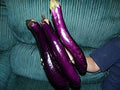 Vegetable Seeds,Garden seeds, Seeds For Planting,Plant Seeds