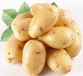 Vegetable Seeds,Garden seeds, Seeds For Planting,Plant Seeds