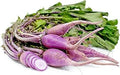 Vegetable Seeds,Garden seeds, Seeds For Planting,Plant Seeds