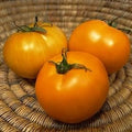 Vegetable Seeds,Garden seeds, Seeds For Planting,Plant Seeds