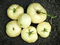 Vegetable Seeds,Garden seeds, Seeds For Planting,Plant Seeds