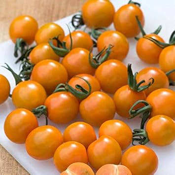 Vegetable Seeds,Garden seeds, Seeds For Planting,Plant Seeds