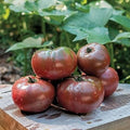 Vegetable Seeds,Garden seeds, Seeds For Planting,Plant Seeds