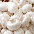Vegetable Seeds,Garden seeds, Seeds For Planting,Plant Seeds