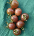 Vegetable Seeds,Garden seeds, Seeds For Planting,Plant Seeds