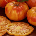 Vegetable Seeds,Garden seeds, Seeds For Planting,Plant Seeds