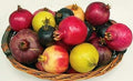 Fruit Seeds,Garden seeds, Seeds For Planting,Plant Seeds