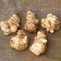 Vegetable Seeds,Garden seeds, Seeds For Planting,Plant Seeds