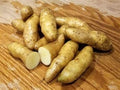 Vegetable Seeds,Garden seeds, Seeds For Planting,Plant Seeds
