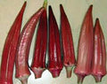 Vegetable Seeds,Garden seeds, Seeds For Planting,Plant Seeds