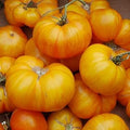 Vegetable Seeds,Garden seeds, Seeds For Planting,Plant Seeds