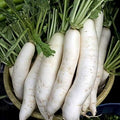 Vegetable Seeds,Garden seeds, Seeds For Planting,Plant Seeds