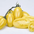 Vegetable Seeds,Garden seeds, Seeds For Planting,Plant Seeds