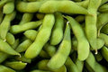 Vegetable Seeds,Garden seeds, Seeds For Planting,Plant Seeds