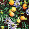 Fruit Seeds,Garden seeds, Seeds For Planting,Plant Seeds