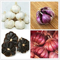 Vegetable Seeds,Garden seeds, Seeds For Planting,Plant Seeds