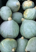 Vegetable Seeds,Garden seeds, Seeds For Planting,Plant Seeds