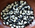 Vegetable Seeds,Garden seeds, Seeds For Planting,Plant Seeds
