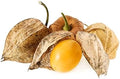 Vegetable Seeds,Garden seeds, Seeds For Planting,Plant Seeds