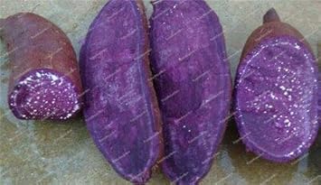 Vegetable Seeds,Garden seeds, Seeds For Planting,Plant Seeds