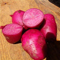 Vegetable Seeds,Garden seeds, Seeds For Planting,Plant Seeds