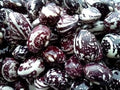 Vegetable Seeds,Garden seeds, Seeds For Planting,Plant Seeds