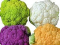 Vegetable Seeds,Garden seeds, Seeds For Planting,Plant Seeds