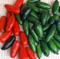 Vegetable Seeds,Garden seeds, Seeds For Planting,Plant Seeds