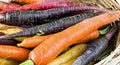Vegetable Seeds,Garden seeds, Seeds For Planting,Plant Seeds