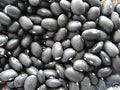 Vegetable Seeds,Garden seeds, Seeds For Planting,Plant Seeds