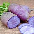 Vegetable Seeds,Garden seeds, Seeds For Planting,Plant Seeds
