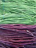 Vegetable Seeds,Garden seeds, Seeds For Planting,Plant Seeds
