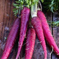 Vegetable Seeds,Garden seeds, Seeds For Planting,Plant Seeds