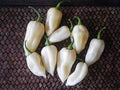 Vegetable Seeds,Garden seeds, Seeds For Planting,Plant Seeds