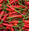 Vegetable Seeds,Garden seeds, Seeds For Planting,Plant Seeds