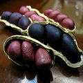 Vegetable Seeds,Garden seeds, Seeds For Planting,Plant Seeds