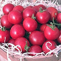 Vegetable Seeds,Garden seeds, Seeds For Planting,Plant Seeds