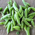 Vegetable Seeds,Garden seeds, Seeds For Planting,Plant Seeds